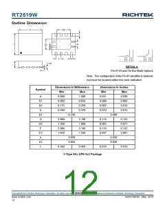 浏览型号RT2519W的Datasheet PDF文件第12页