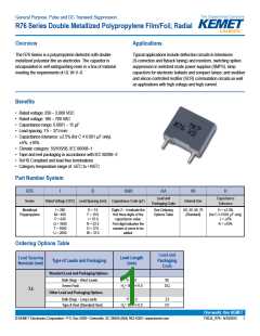 浏览型号R76PI2390DQ30J的Datasheet PDF文件第1页