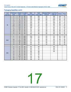 浏览型号R76PI2390DQ30J的Datasheet PDF文件第17页