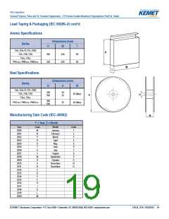 浏览型号R76PI2390DQ30J的Datasheet PDF文件第19页