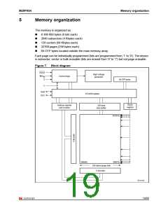 浏览型号M25PX64-VME6G的Datasheet PDF文件第19页