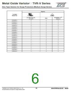 浏览型号TVR10561KJABV的Datasheet PDF文件第6页