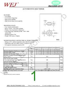 浏览型号RAS2510的Datasheet PDF文件第1页