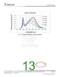 浏览型号RT-C13A-W3ET0412-P5的Datasheet PDF文件第13页