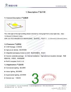 浏览型号RT-C13A-W3ET0412-P5的Datasheet PDF文件第3页