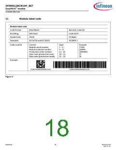 浏览型号DF8MR12W1M1HF_B67的Datasheet PDF文件第18页
