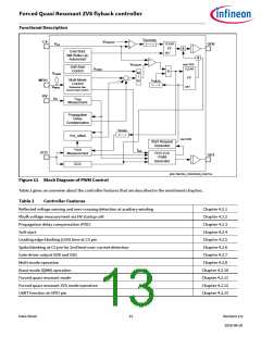 浏览型号XDPS21081的Datasheet PDF文件第13页